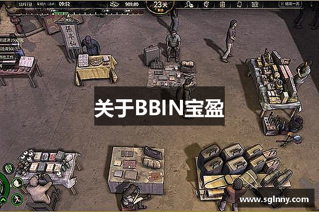 关于BBIN宝盈
